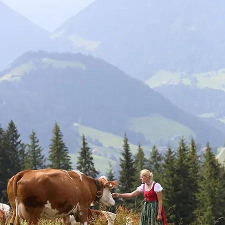 Apartmán Alm - Au Hochalm Söll