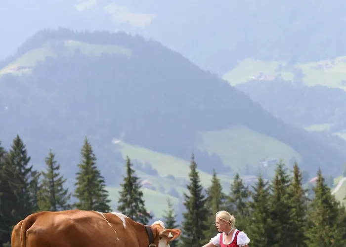 Apartmán Alm - Au Hochalm Söll